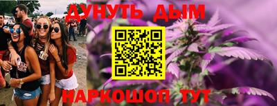 гашик Новодвинск