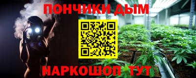 гашик Новодвинск