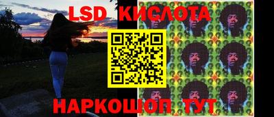 гашик Новодвинск